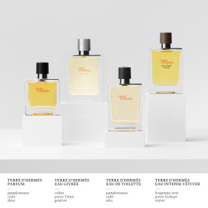 Terre d'Hermès Eau Givrée - Eau de Parfum Terre d'Hermès Eau Givrée - Eau de Parfum